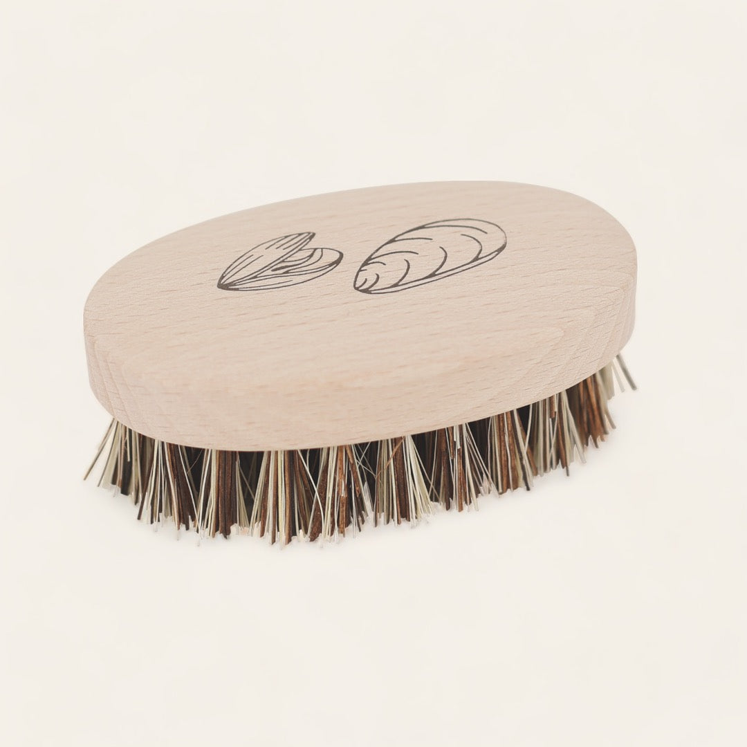 BROSSE COQUILLAGE - Bois