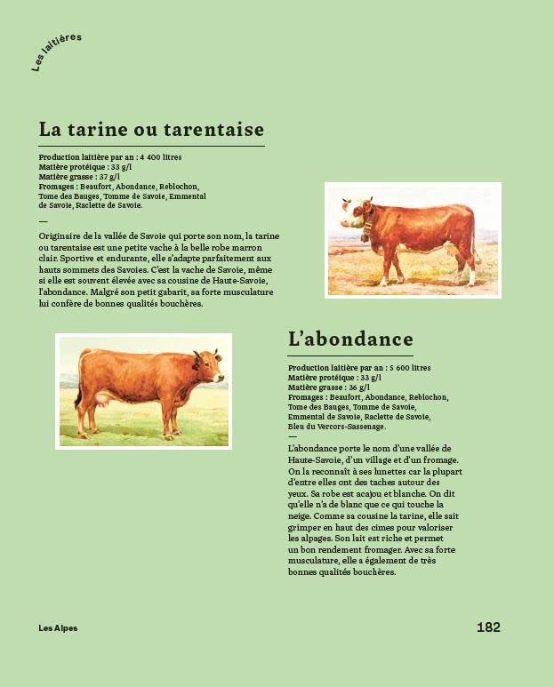 LIVRE LE BON SAVOIR DU FROMAGE - Pierre Coulon