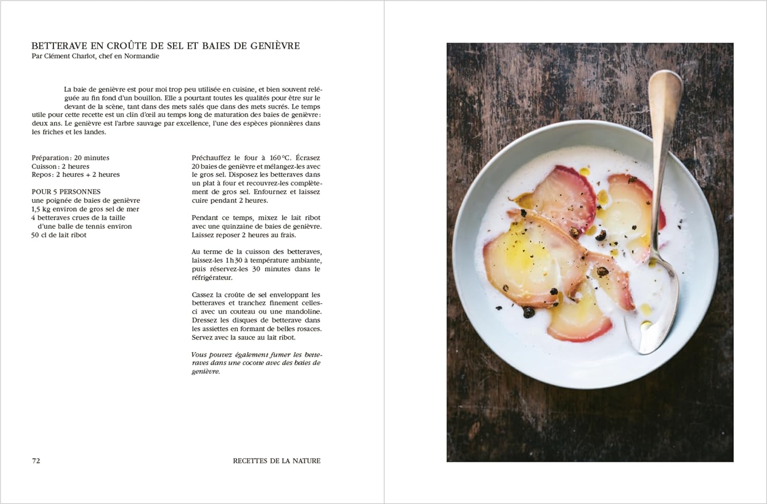 LIVRE RECETTES DE LA NATURE - Jill Cousin et Anne Claire Héraud