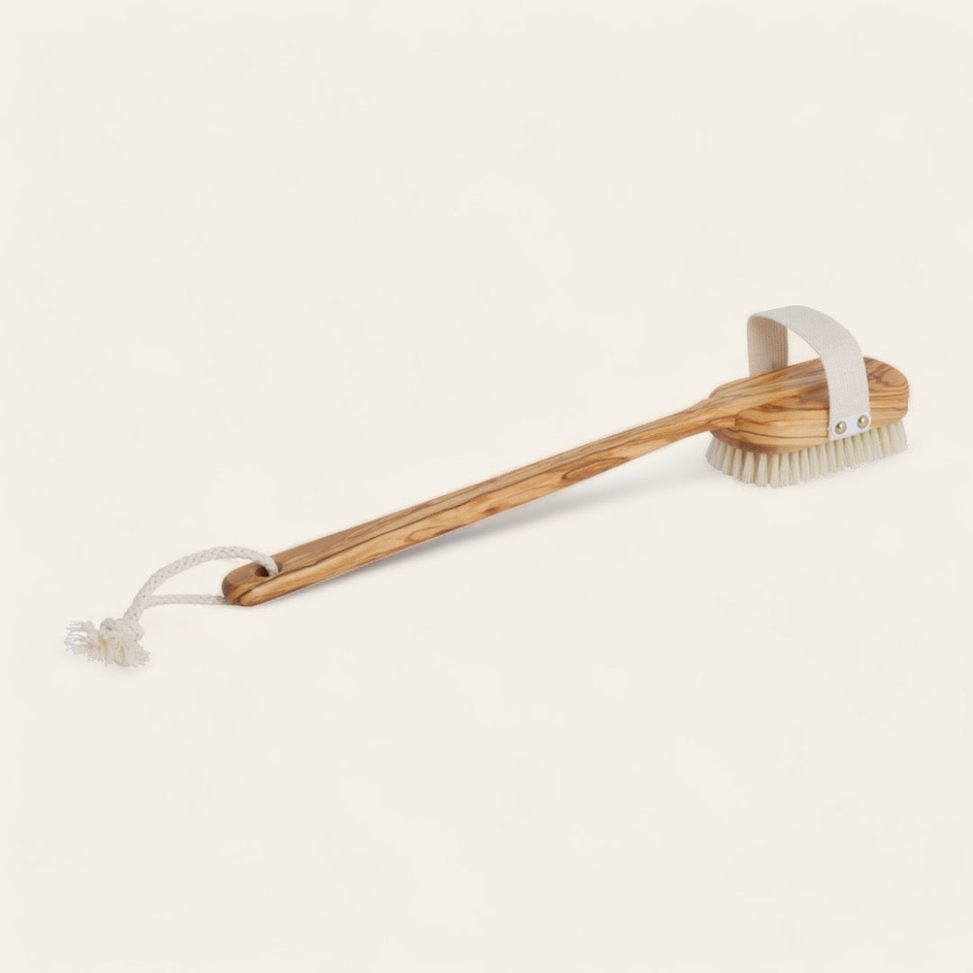 BROSSE DE BAIN - Olivier