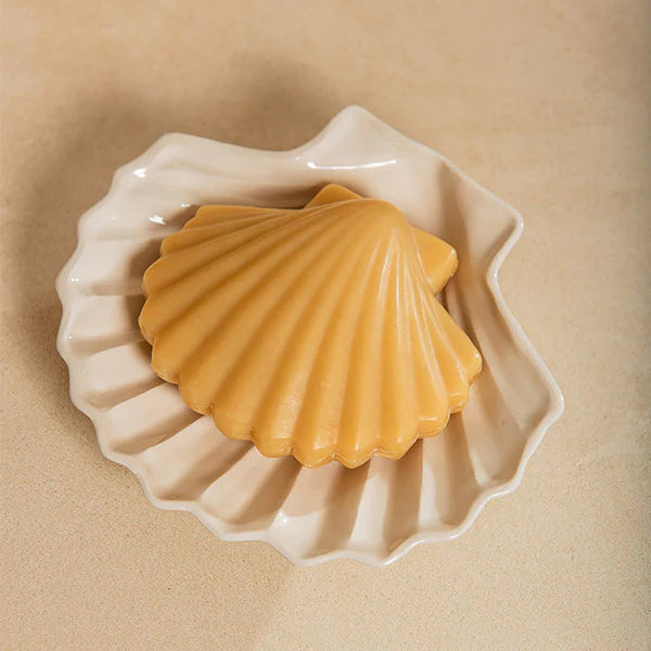 SAVONNETTE COQUILLE - Calypso
