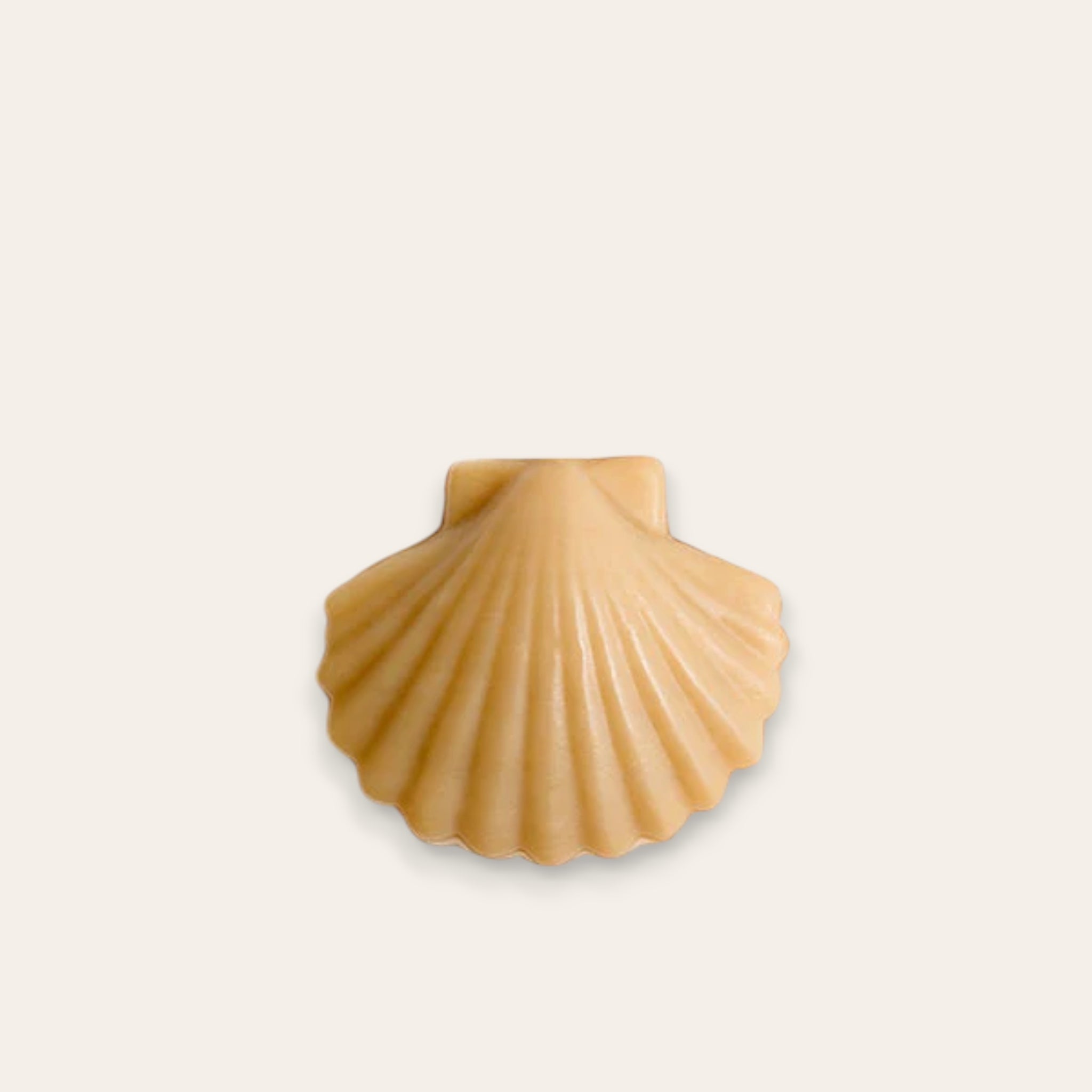 SAVONNETTE COQUILLE - Calypso