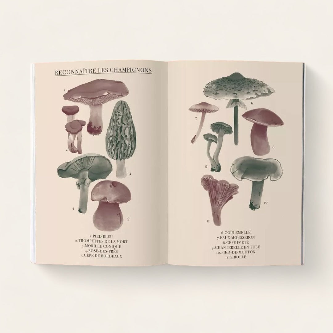 GUIDE PAPIER - Popote
