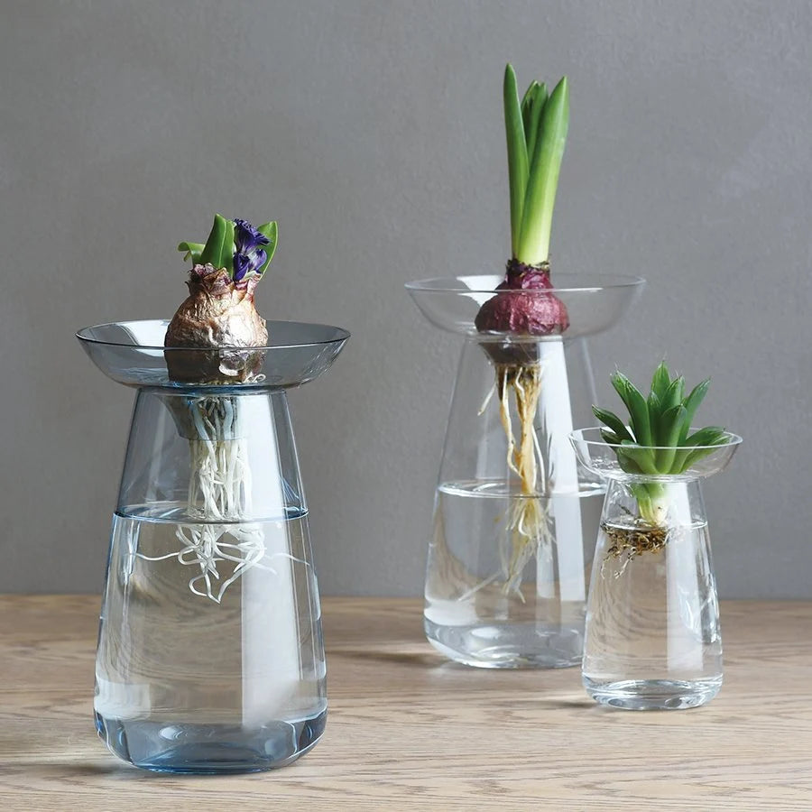 VASE AQUACULTURE - Verre
